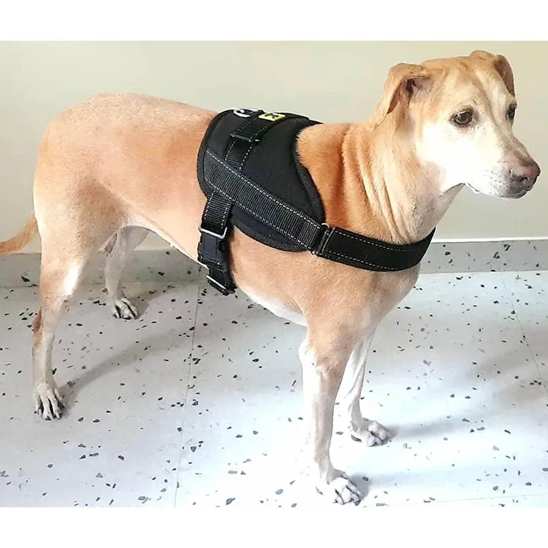 A a Pets' No Pull Reflective Vest Harness for Dogs - Blue