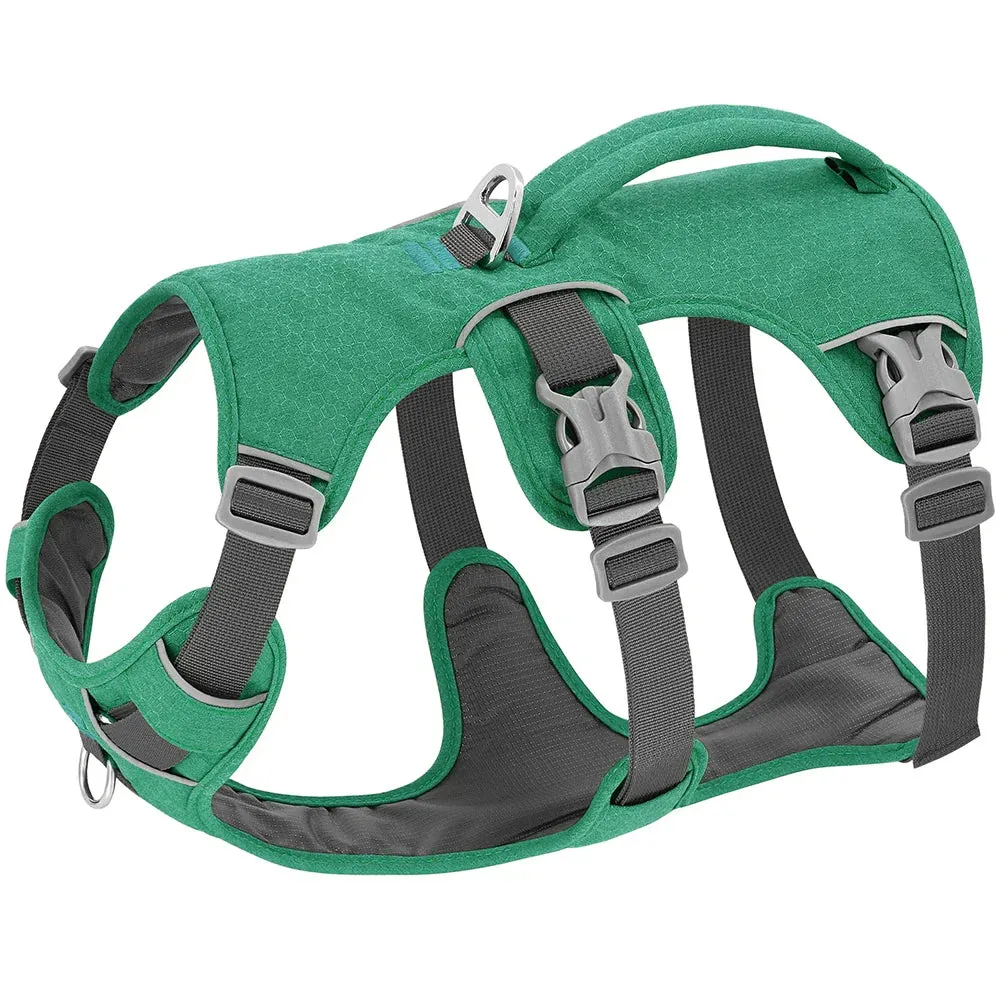 Adjustable Reflective Nylon Dog Harness with Handle for Various Dog Sizes