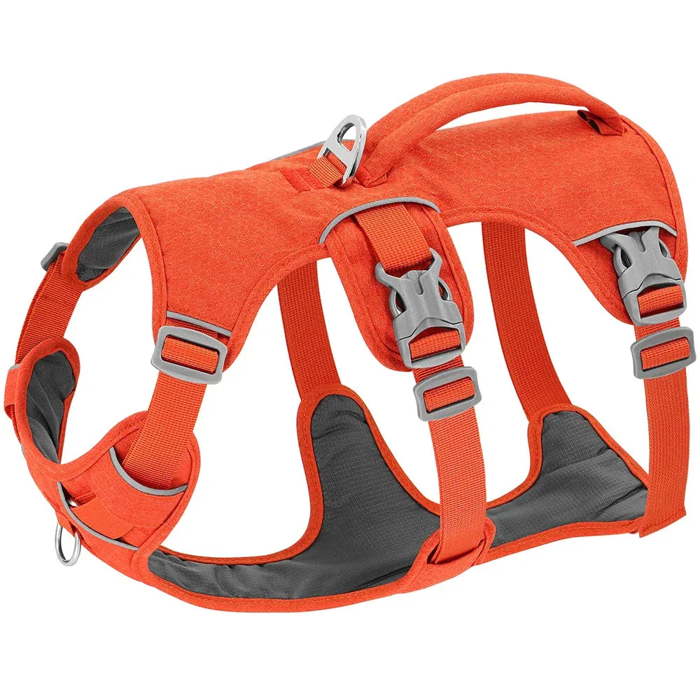 Adjustable Reflective Nylon Dog Harness with Handle for Various Dog Sizes