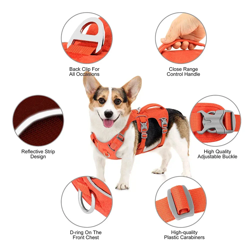 Adjustable Reflective Nylon Dog Harness with Handle for Various Dog Sizes