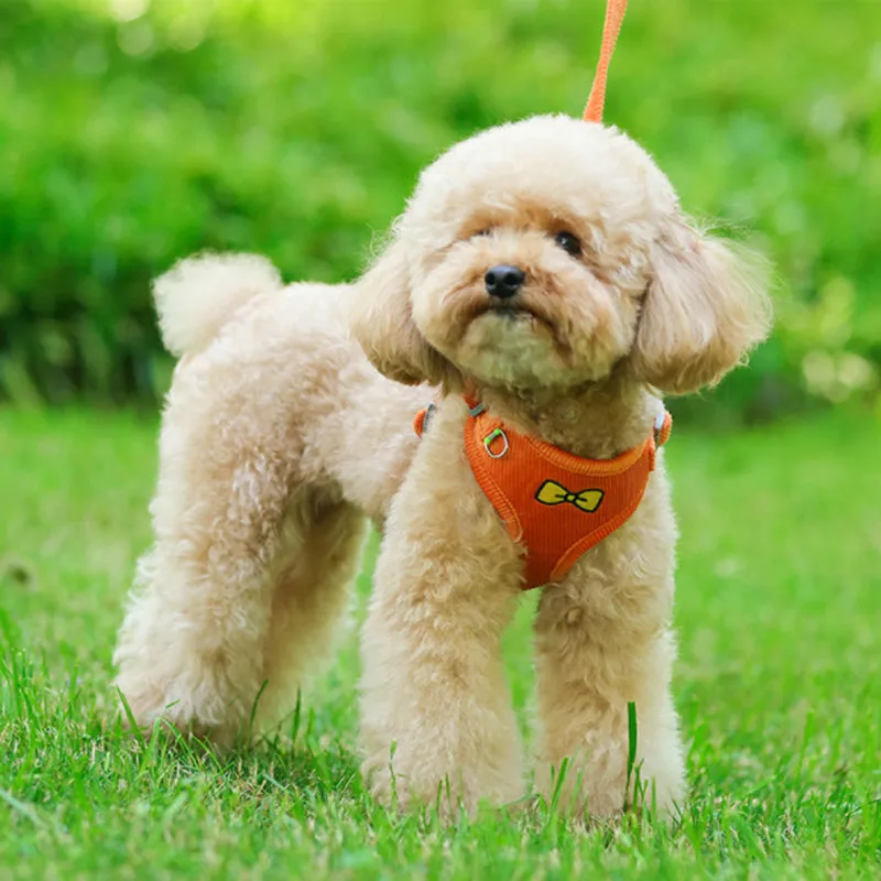 Adjustable Reflective Pet Cat Dog Vest Harness and Leash Set