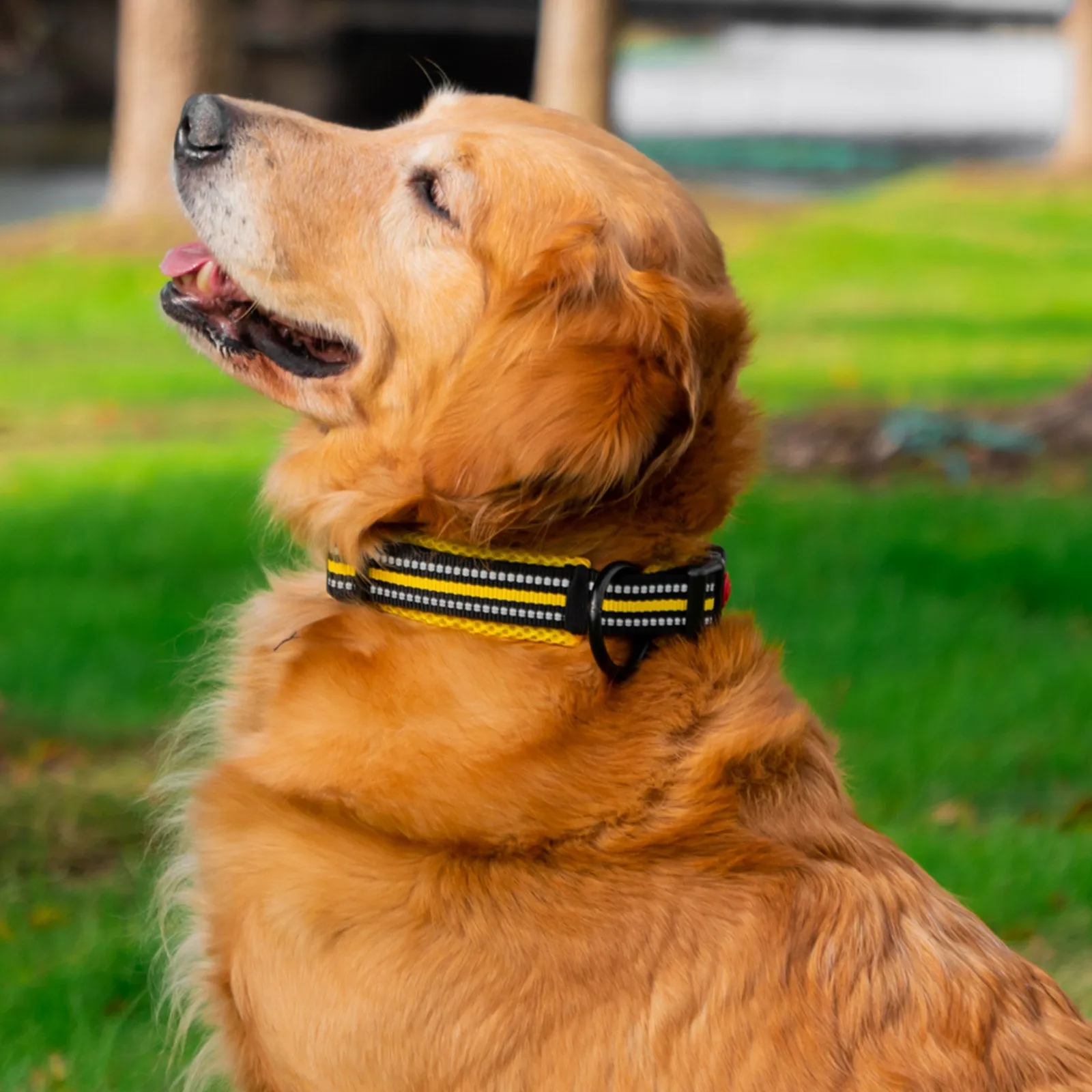 Aiitle Adjustable Reflective Dog Collar