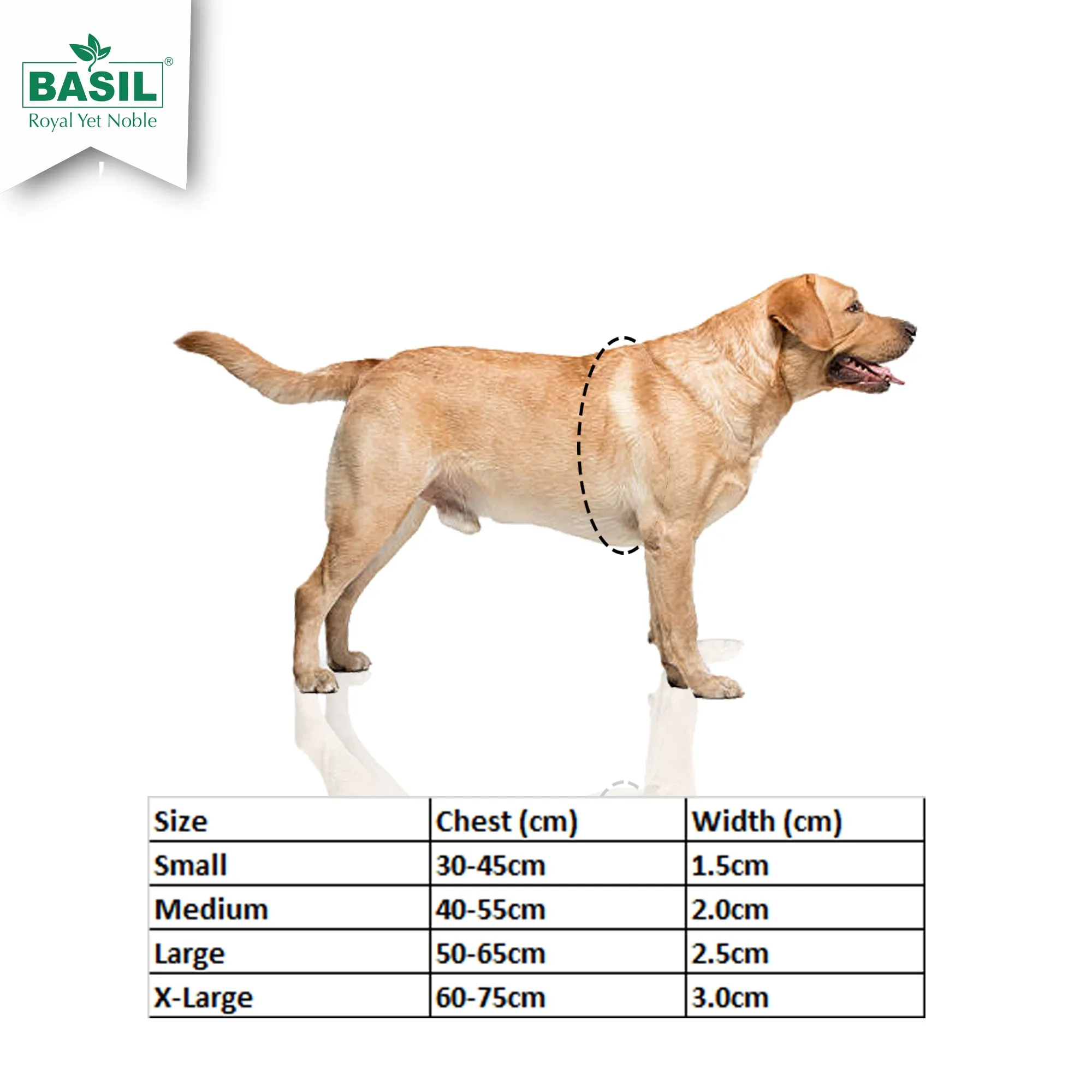 Basil Printed Dog Harness – Green & Purple, Adjustable & Comfortable No-Pull Harness for Walking and Training Dogs of All Sizes