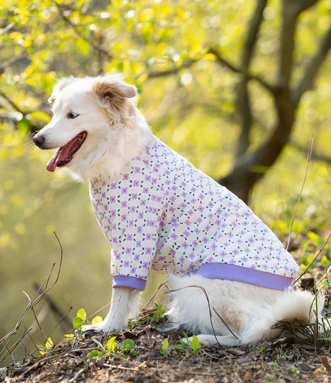 Breathable Cotton Pet Pullover Clothes, Thin Anti-Hair Loss, Sunscreen, Short-Sleeved, Medium and Large Dog Clothes