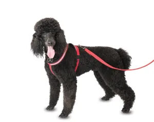 Comfy Harness