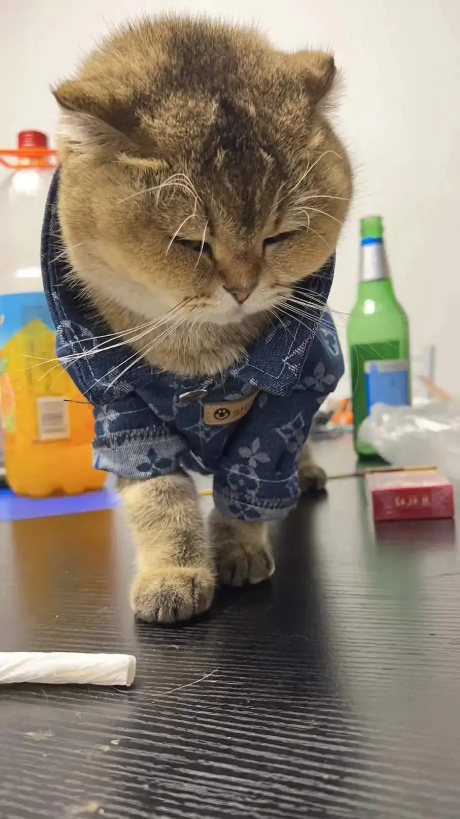 Cool Pet Denim Shirt Teddy Bichon Pomeranian Wearable Dog Clothes Spring and Autumn Pet Clothing for Small and Medium-sized Dogs Link