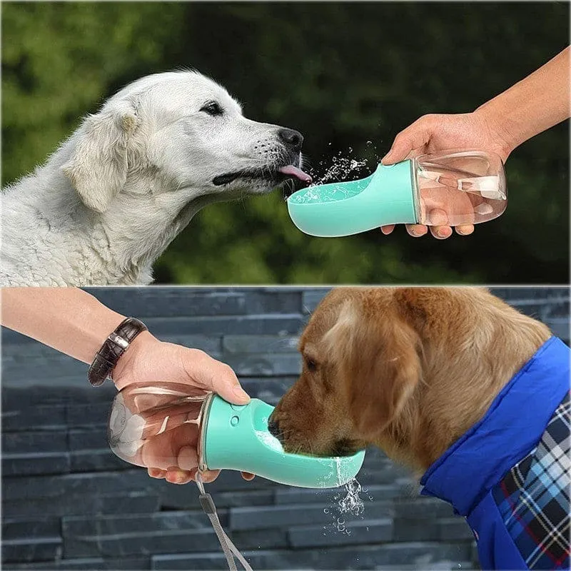 Dog Drinking Bowl