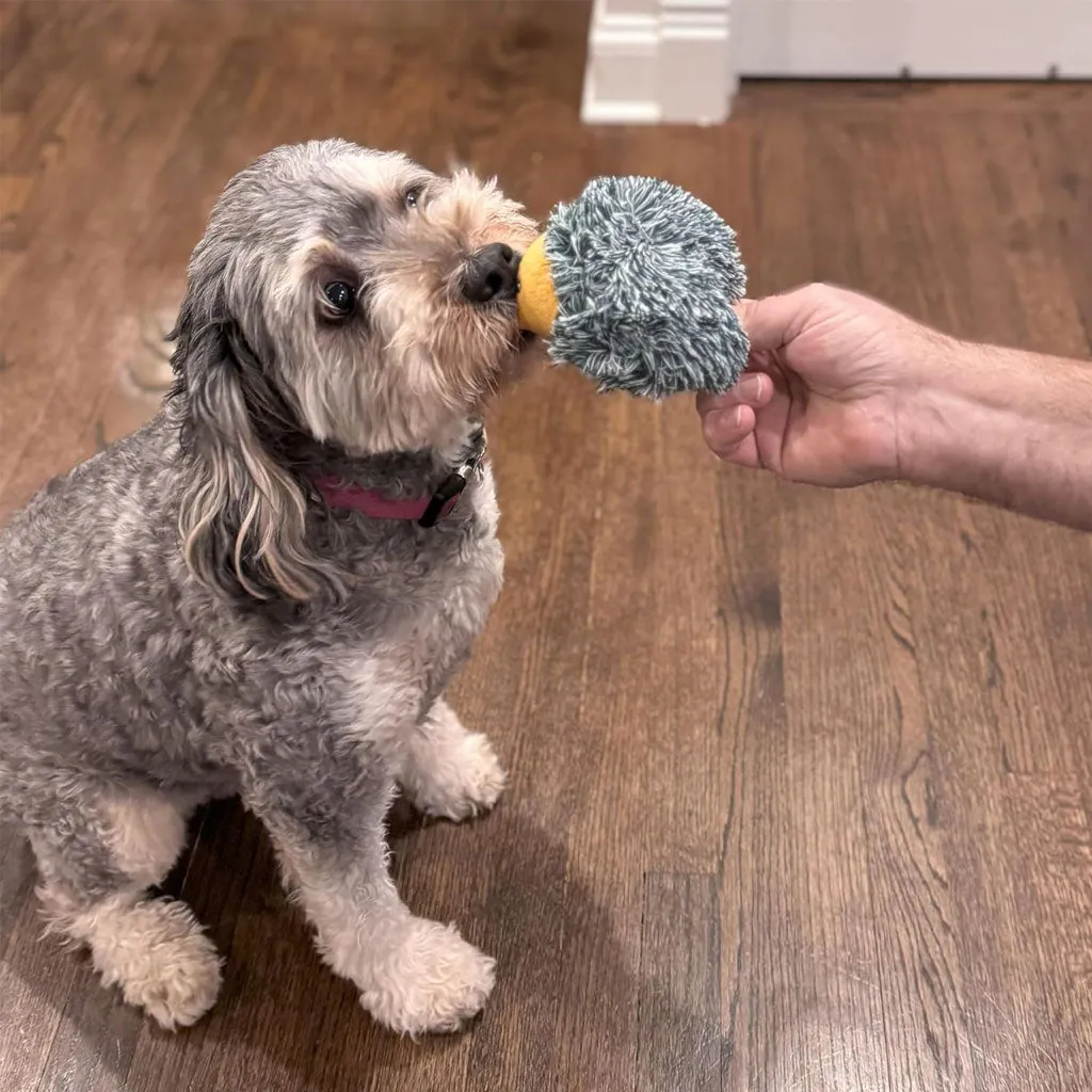 Ethical Pet Spot Butterballs Forest Dog Toy, 4-Inch, Assorted