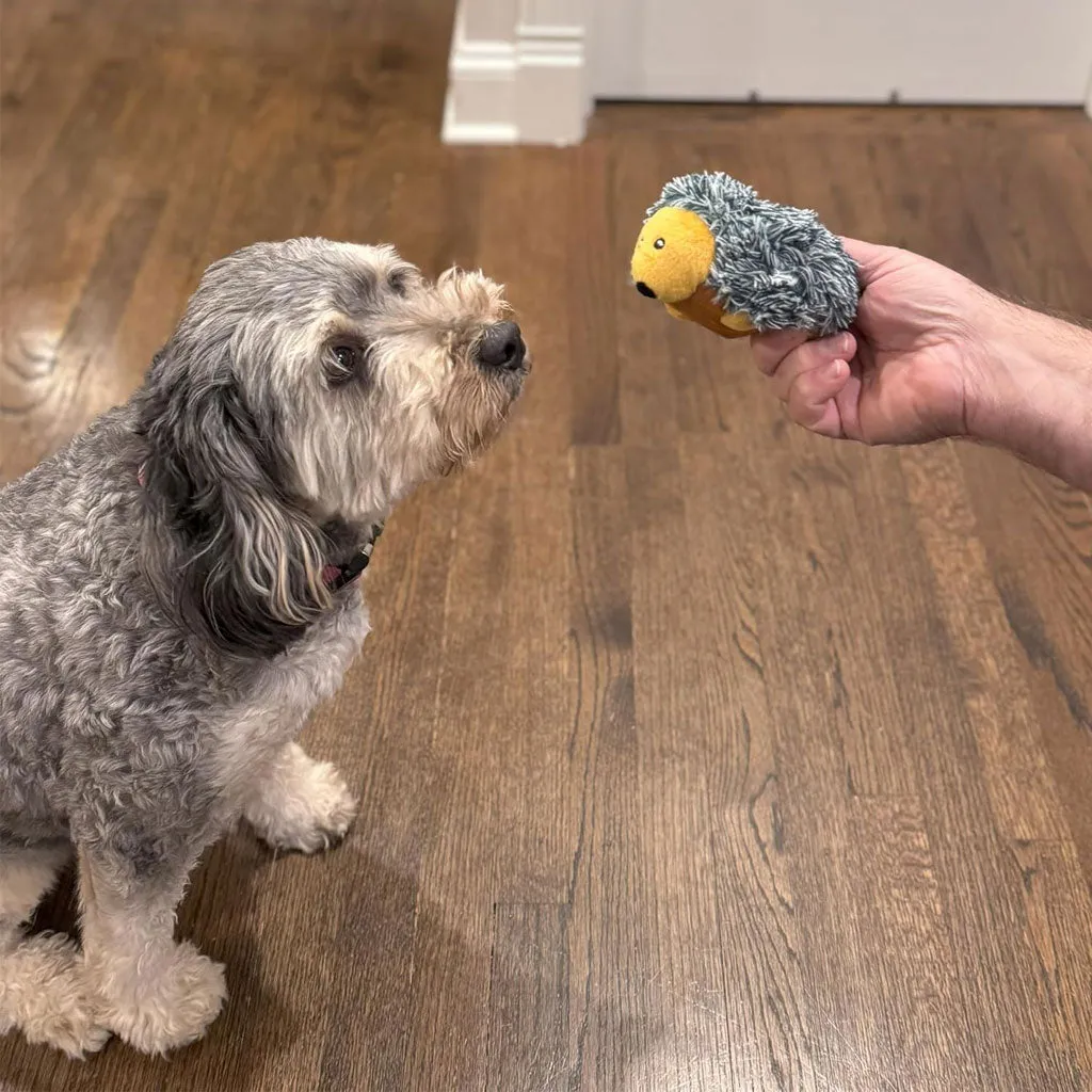 Ethical Pet Spot Butterballs Forest Dog Toy, 4-Inch, Assorted