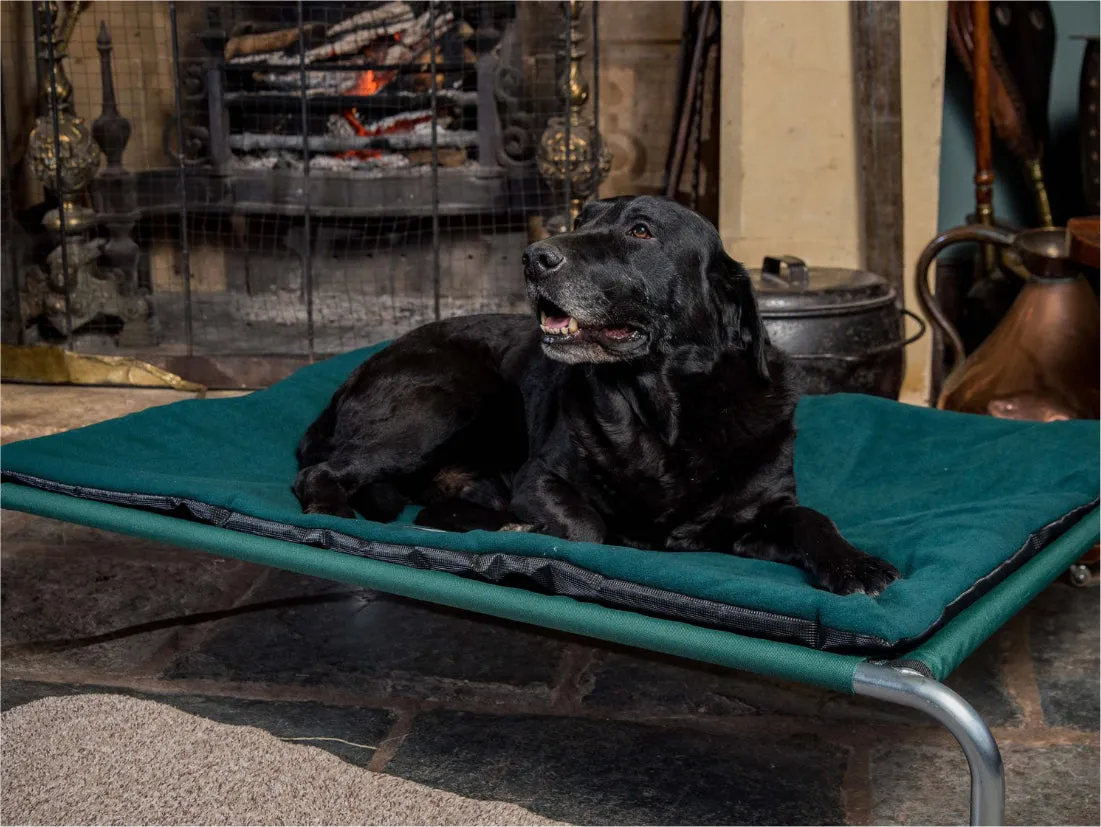 Extra Large Raised Dog Beds