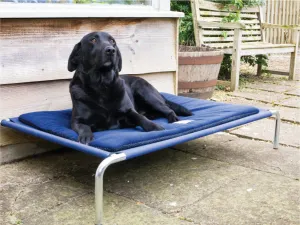Extra Large Raised Dog Beds
