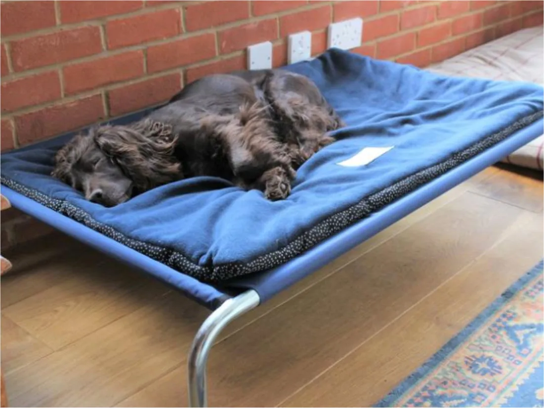 Extra Large Raised Dog Beds