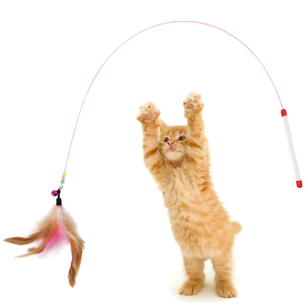 Feather Frenzy Cat Toy