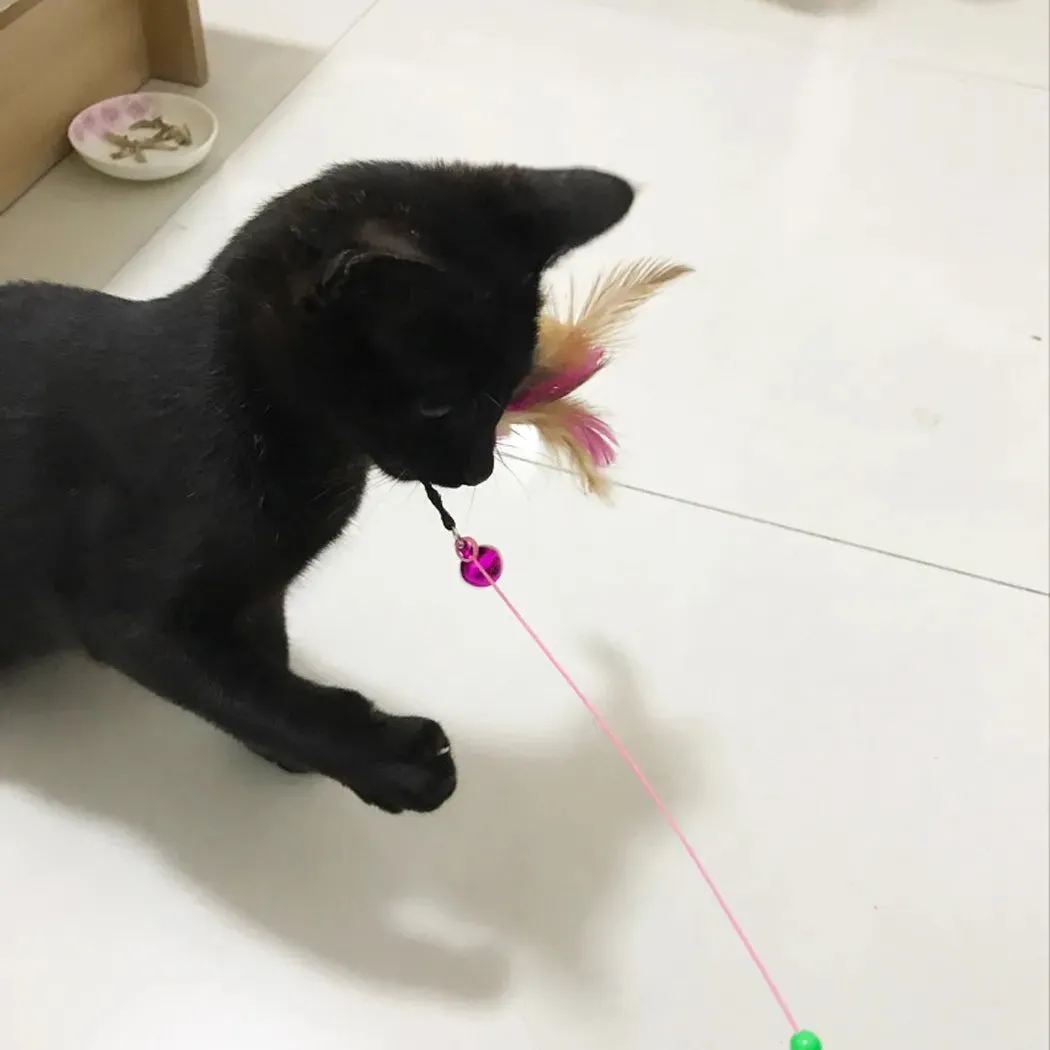 Feather Frenzy Cat Toy