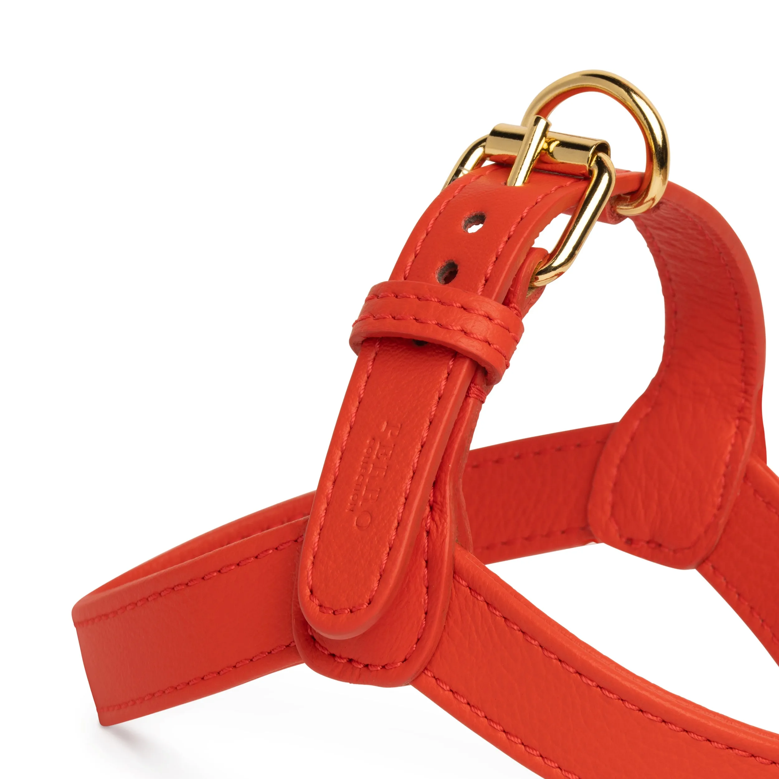 Fiamma harness