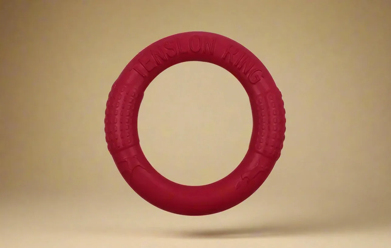 Floating Dog Fetch Ring