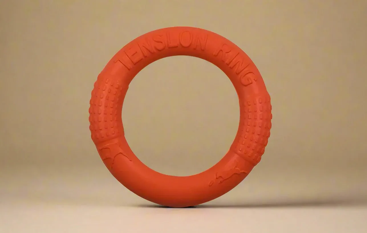 Floating Dog Fetch Ring