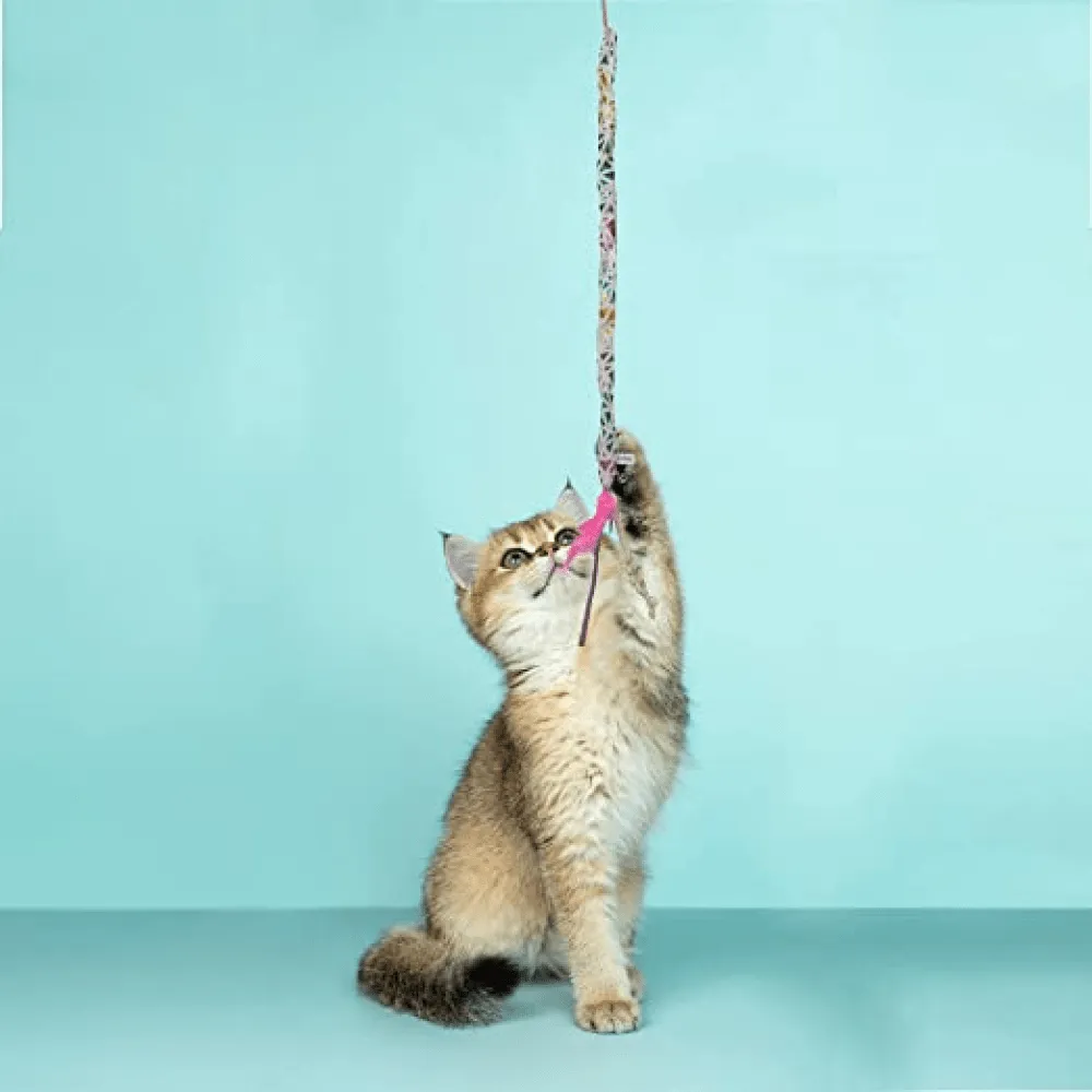 Fofos Blocky Meow Feather Wand Toy for Cats