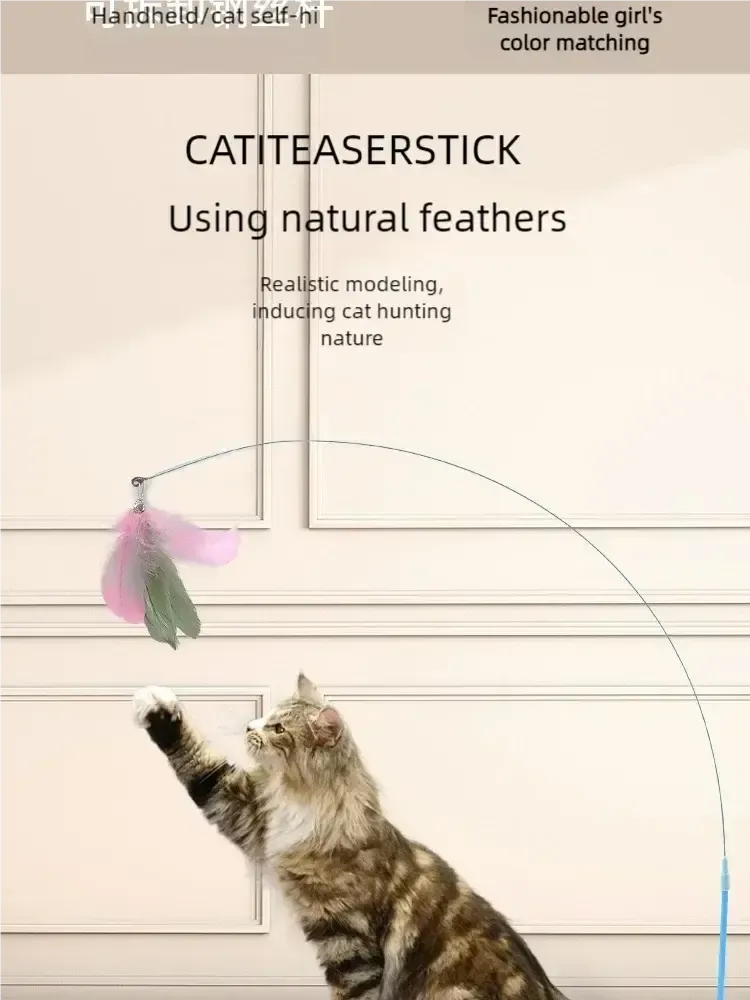 Fun Cat Wand