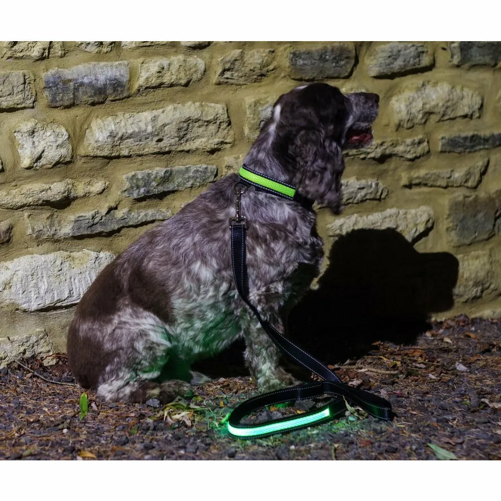 Illuminated Pet Light Up Lead
