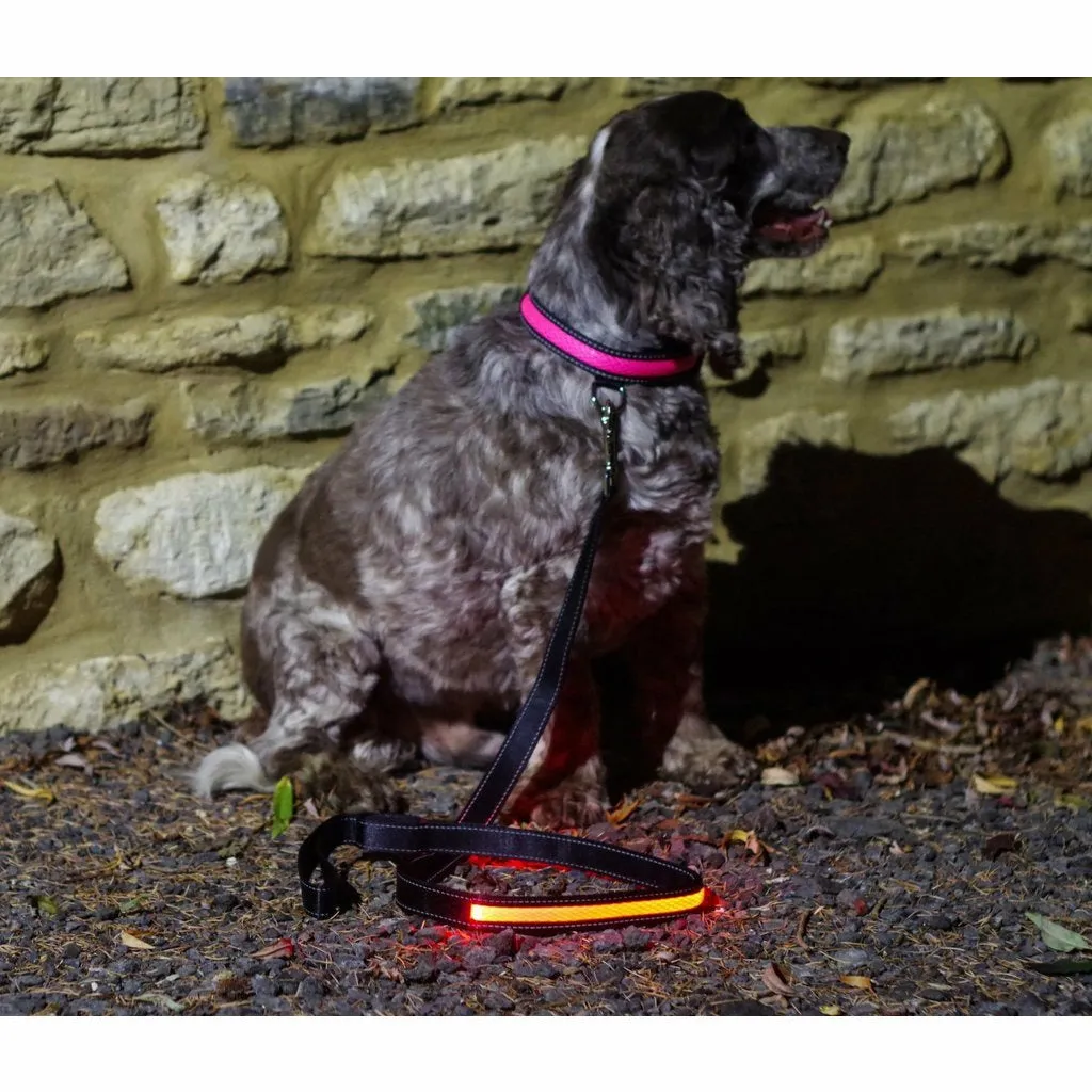Illuminated Pet Light Up Lead