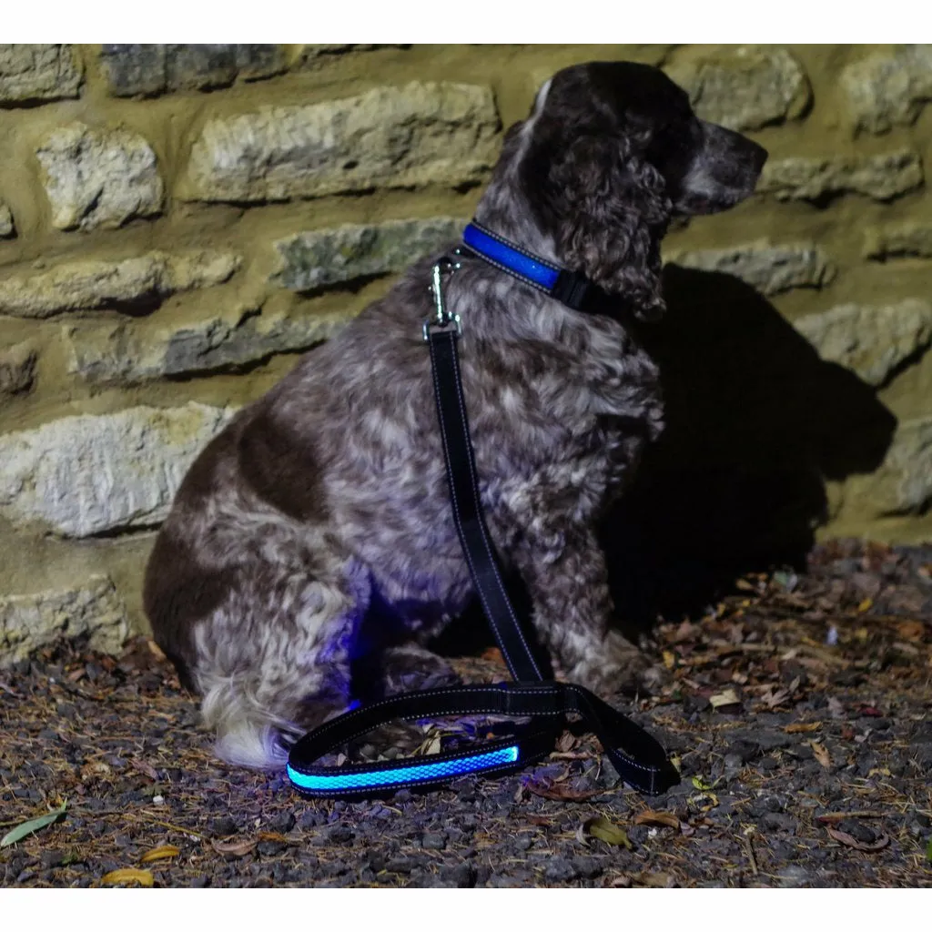 Illuminated Pet Light Up Lead