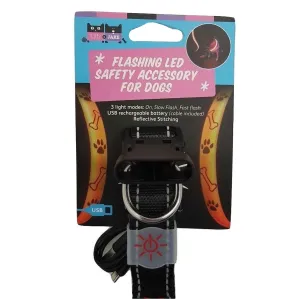 Lilly and Jake LED Collar