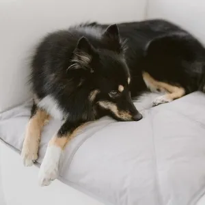 ORII Pet Travel Blanket Mat - 3 Colours / Sizes