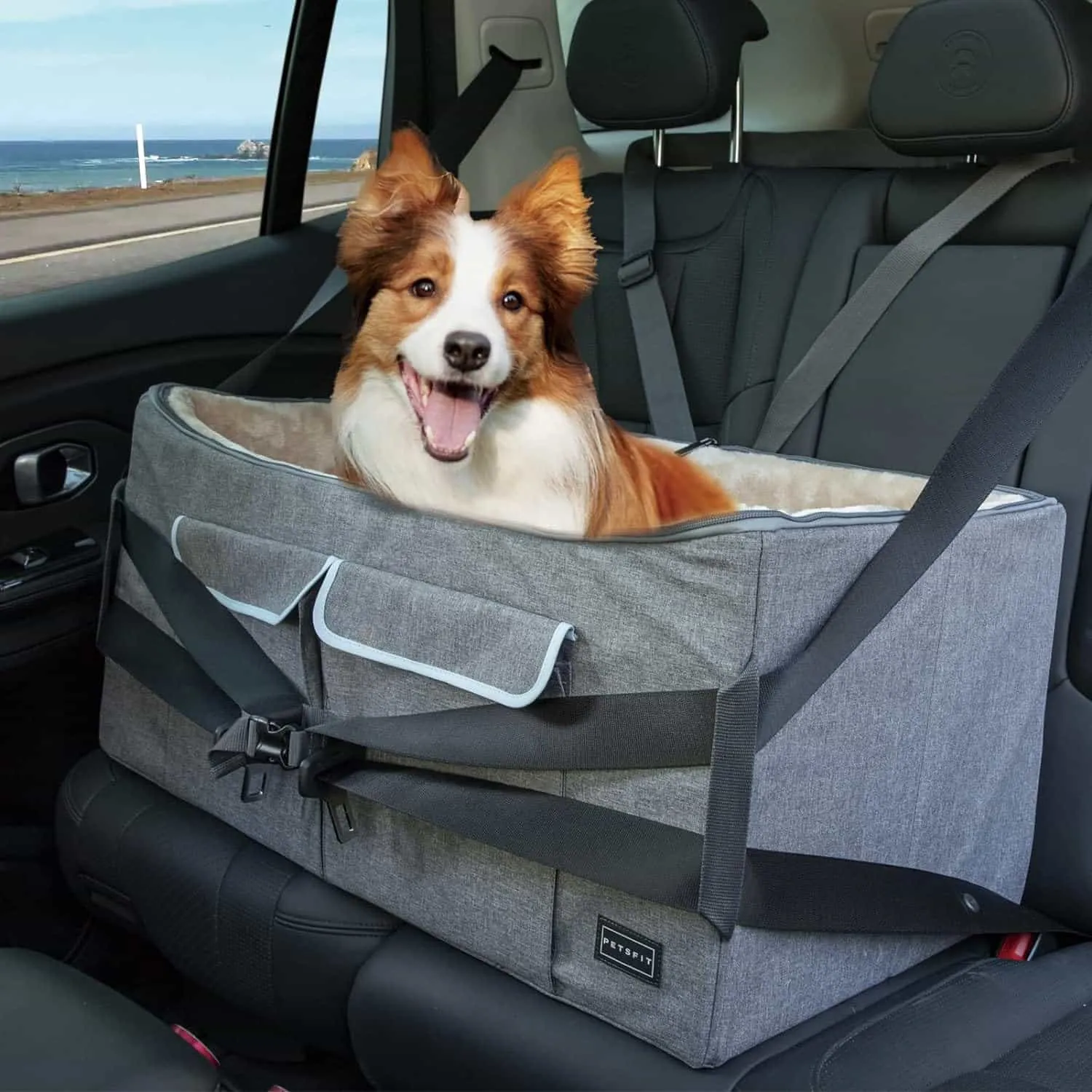 PETSFIT Dog Booster Seat For Car Pet Travel Booster Seat with Safety Belt