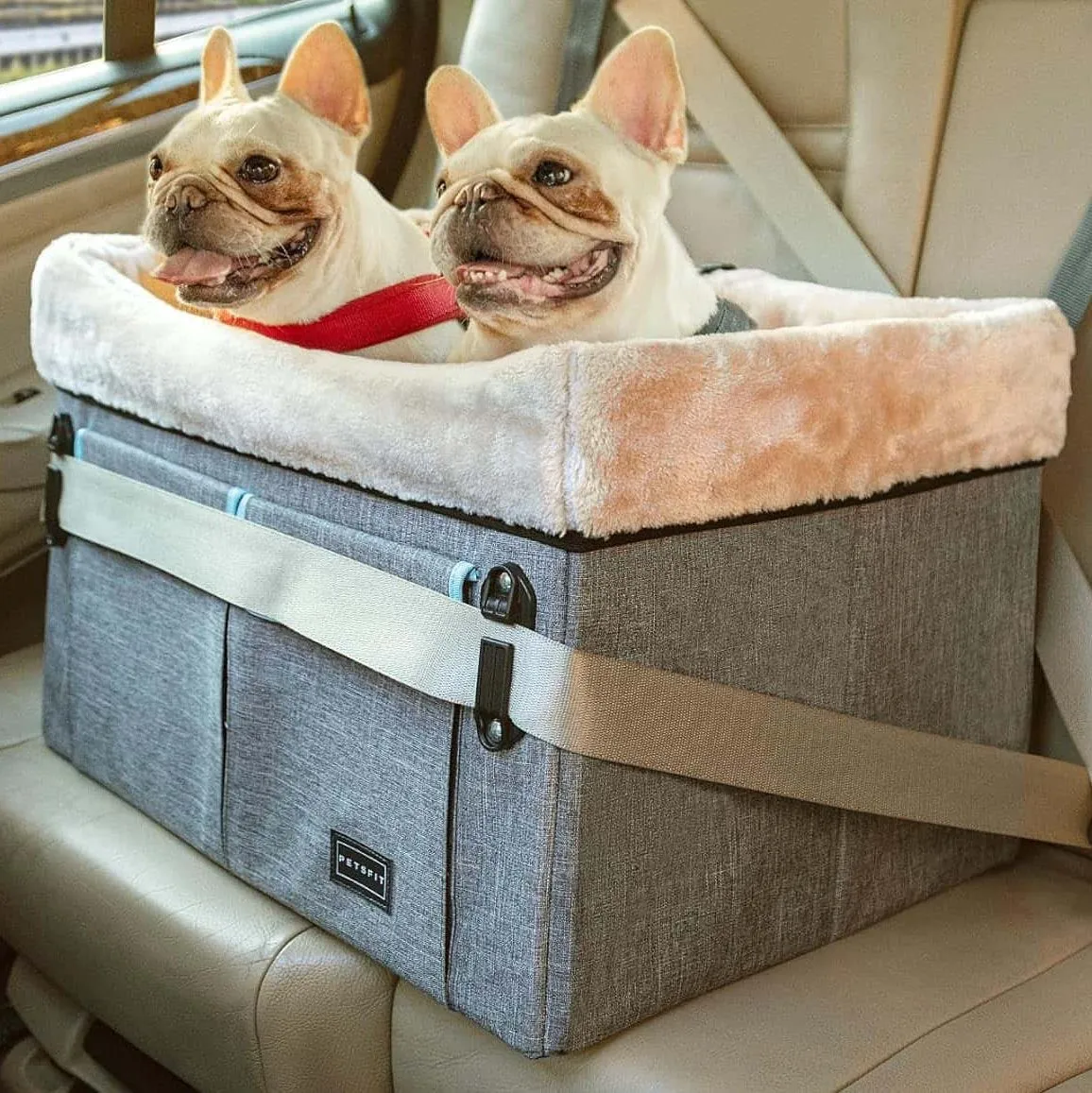 PETSFIT Dog Booster Seat For Car Pet Travel Booster Seat with Safety Belt