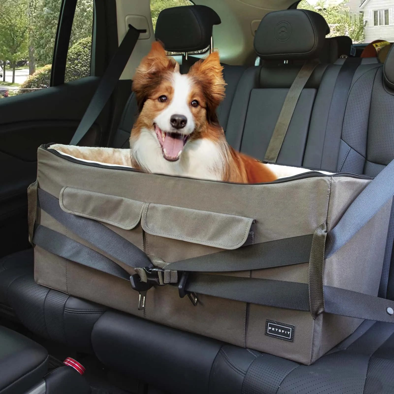 PETSFIT Dog Booster Seat for Medium Dog or 2 Small Dogs or Large Dog up to 45 lb