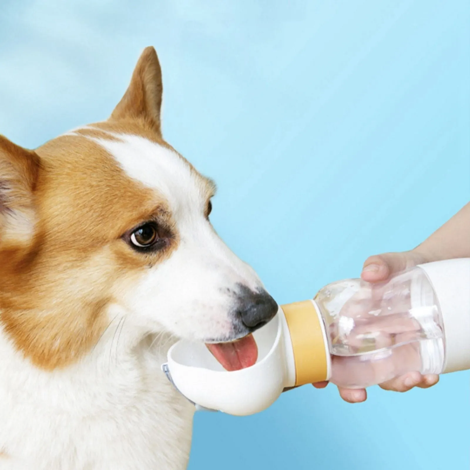 Portable Dog Water Bottle with Food Container Leak Proof Dog Travel Water Dispenser for Walking, Hiking and Travel