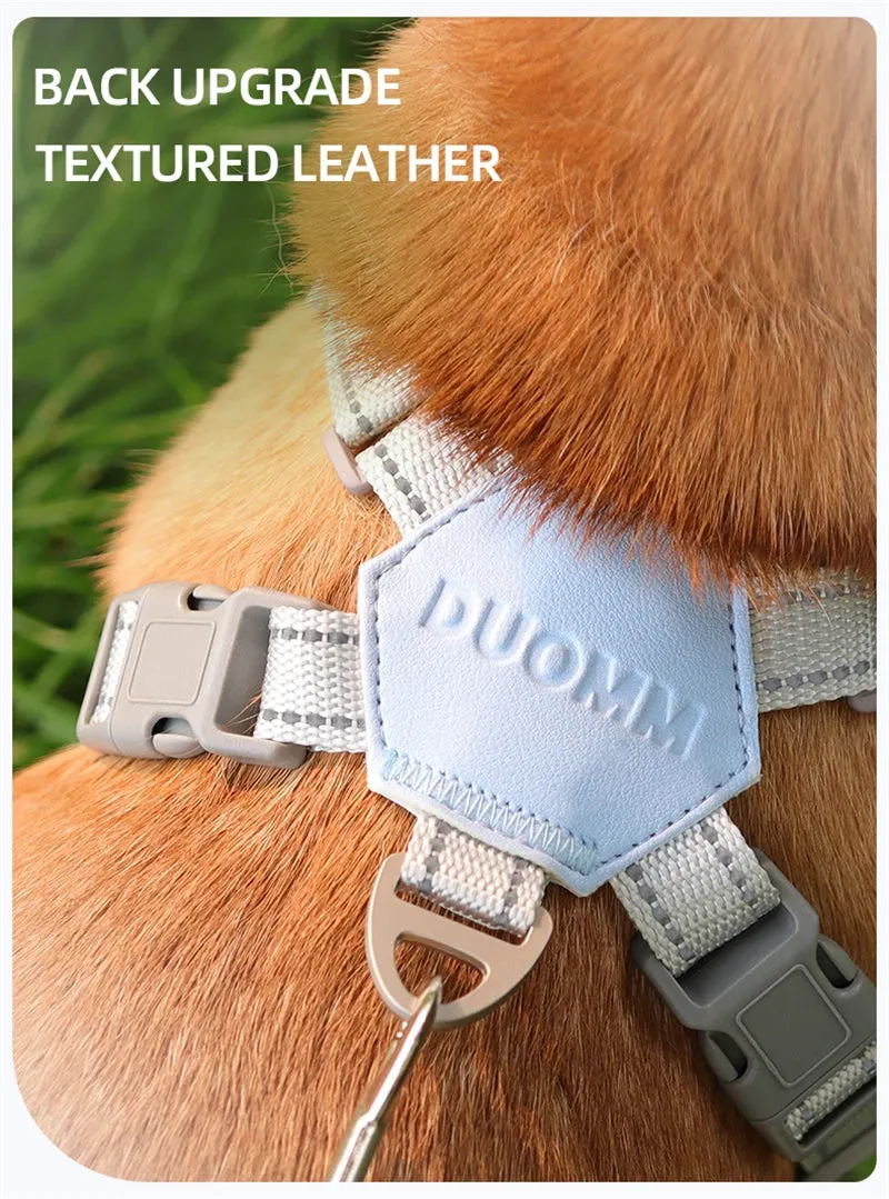 Reflective Dog Harness and Leash Set for Small to Medium Dogs