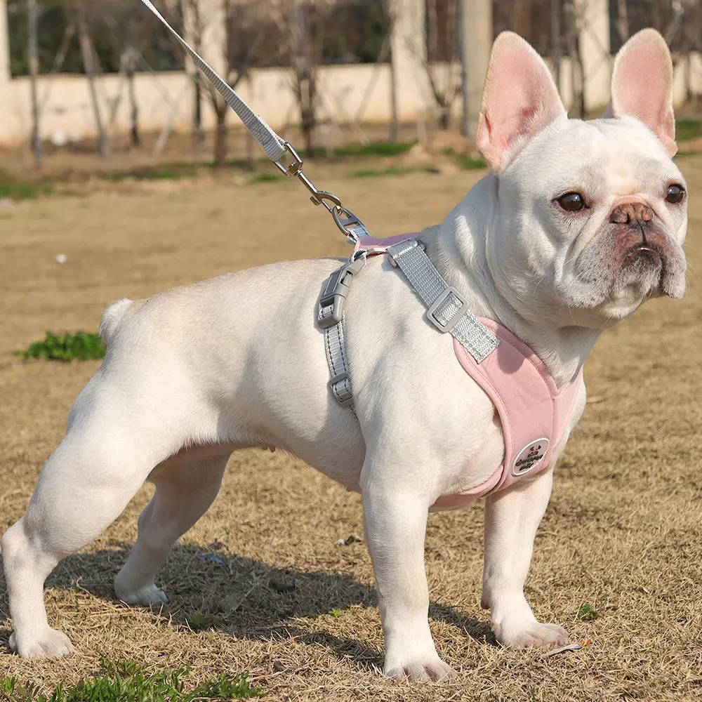Reflective Dog Harness and Leash Set for Small to Medium Dogs