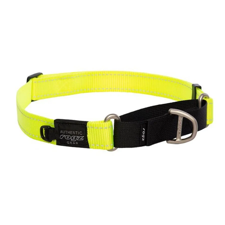 Rogz Control Collar Web Dayglo