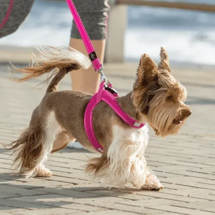 ROGZ FAST FIT HARNESS RED M