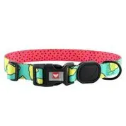Sour Pawtches Premium Dog Collar