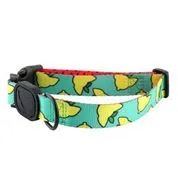 Sour Pawtches Premium Dog Collar
