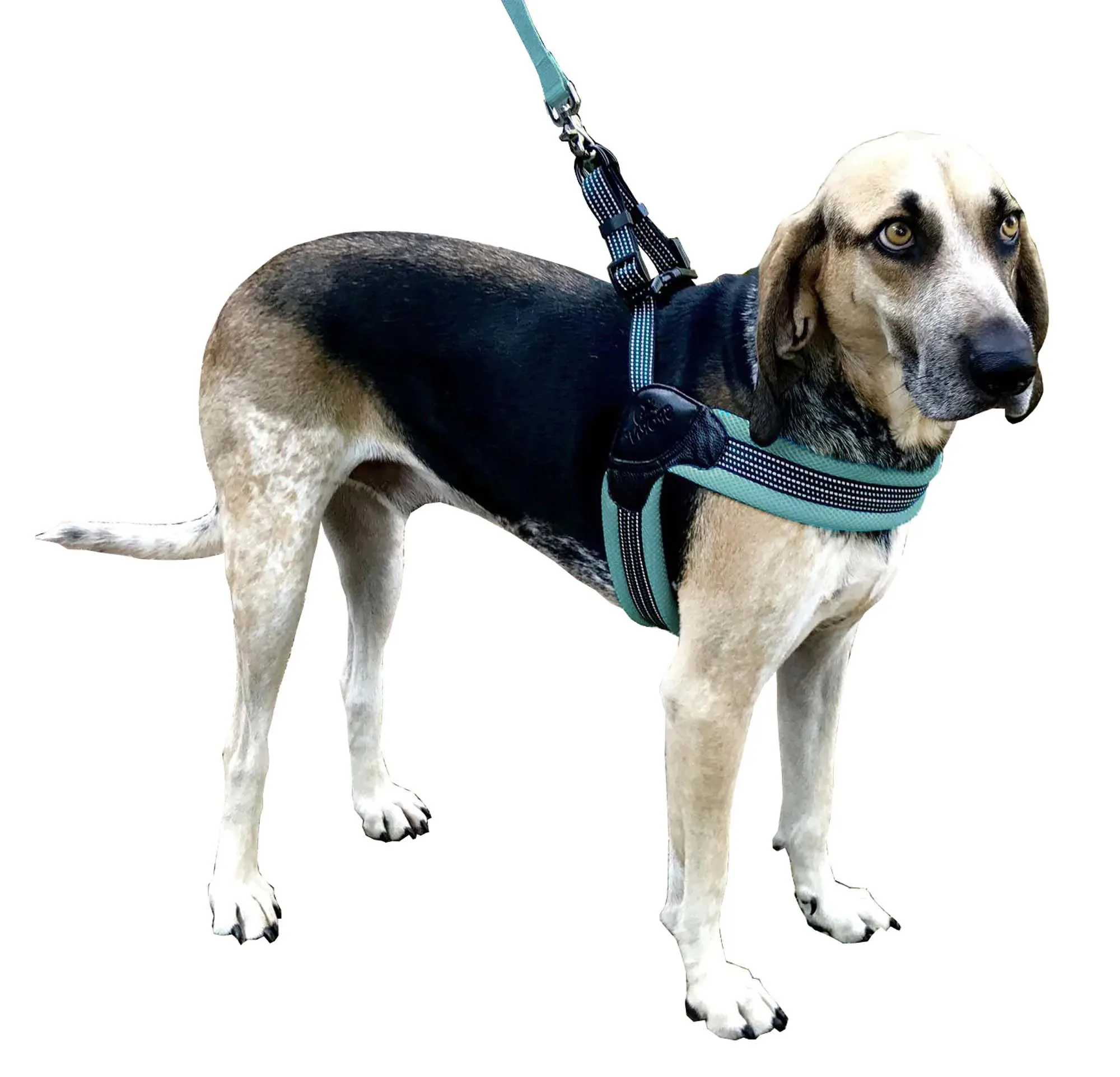 Sporn Easy Fit Mesh Harness, Gray