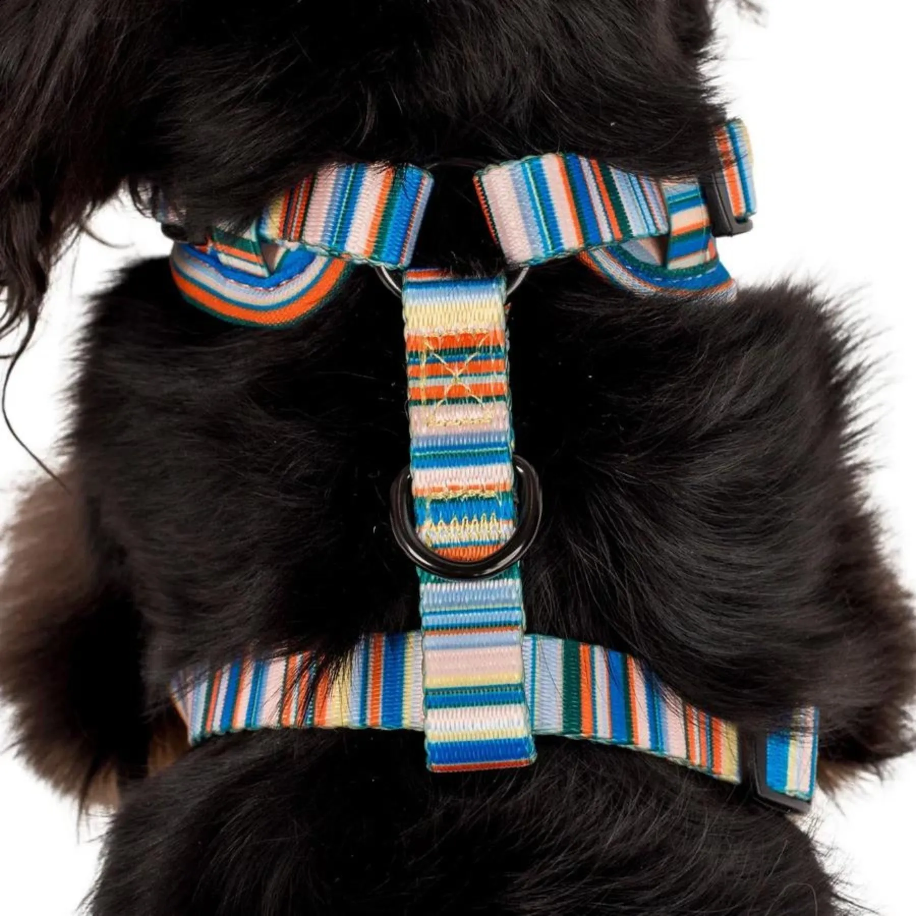 The Cabana Adjustable Dog Harness