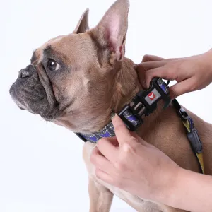 Universal Pawtelations Premium Dog Collar