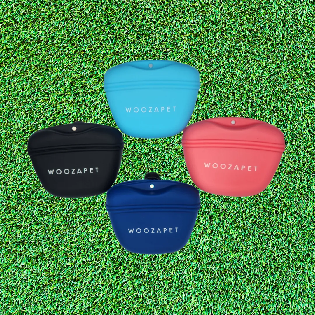 WOOZAPET Silicone Trainer Treat Clip-On Pouch